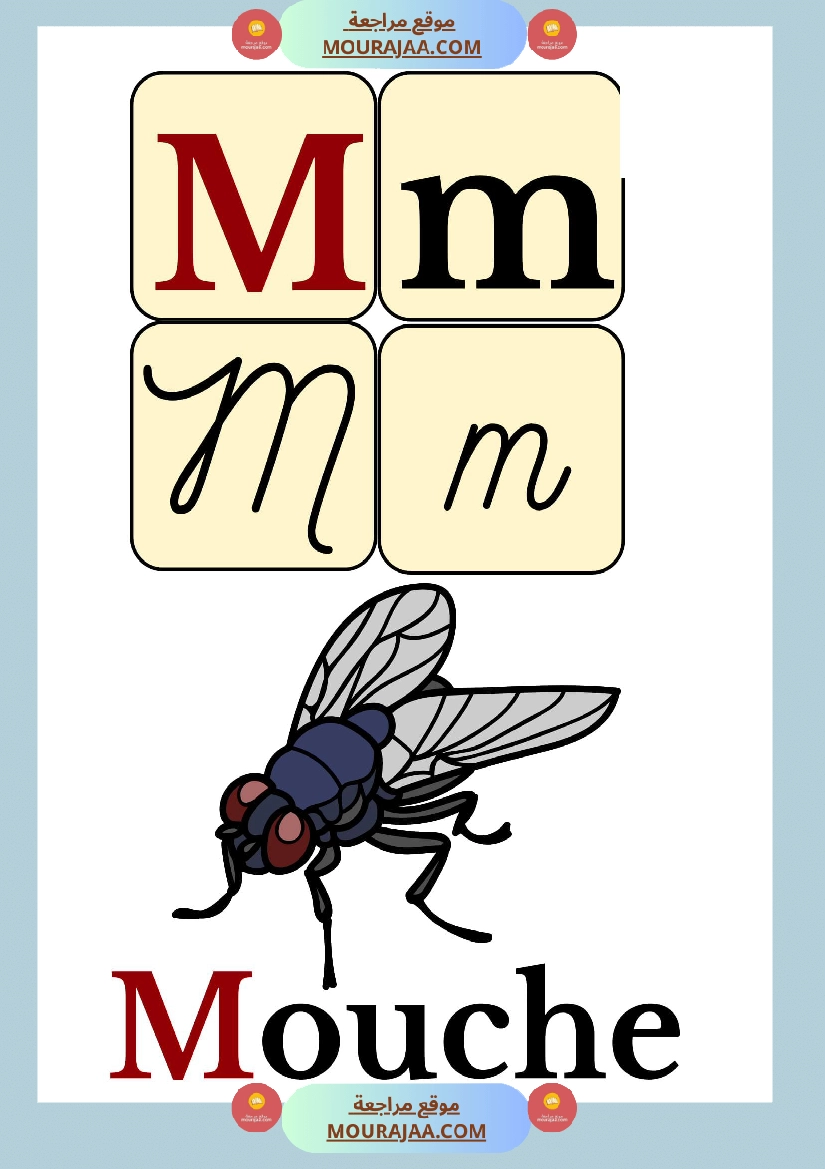 affichage alphabet avec mots صفحة 13