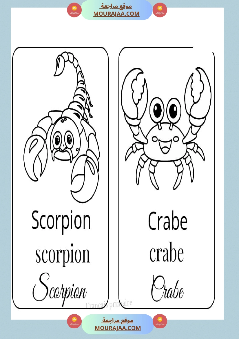 coloriage les animaux صفحة 19