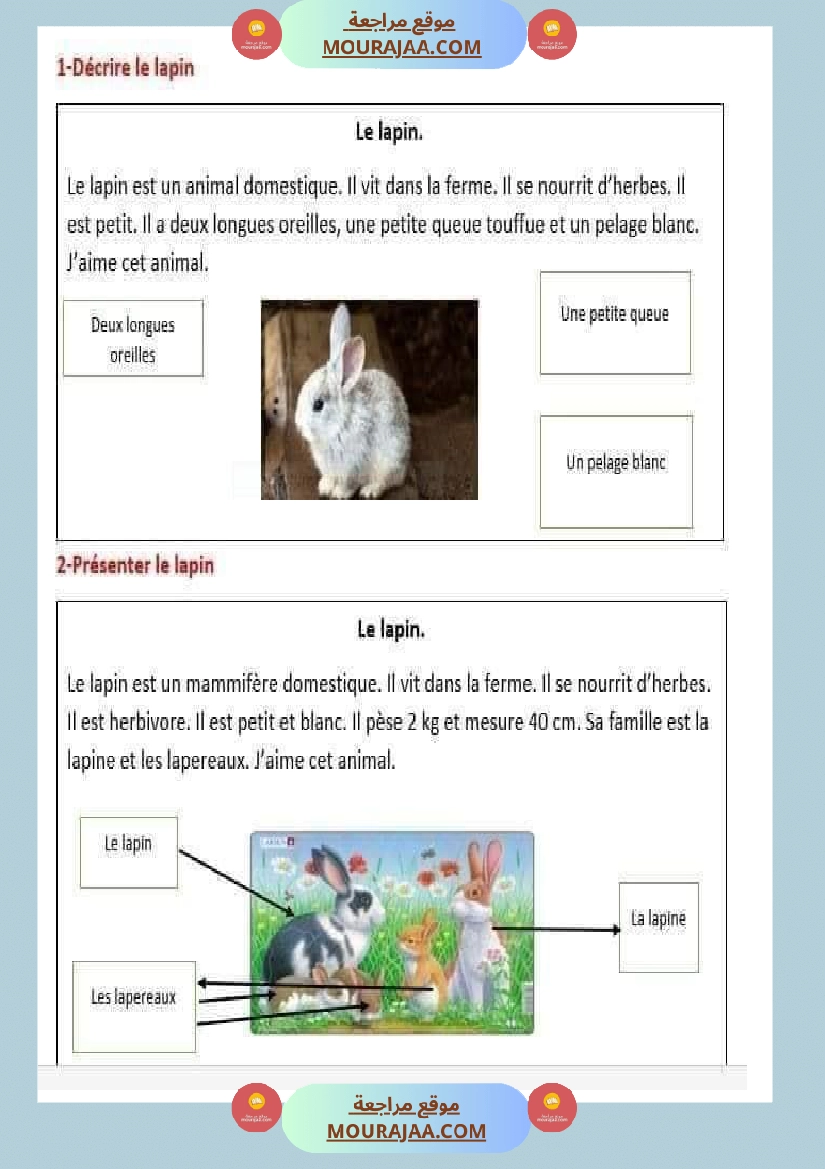 decrire les animaux