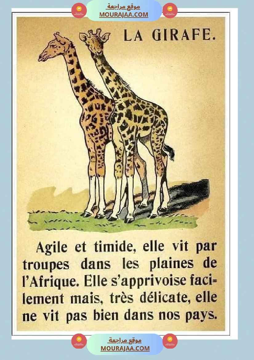 decrire les animaux 2 صفحة 4