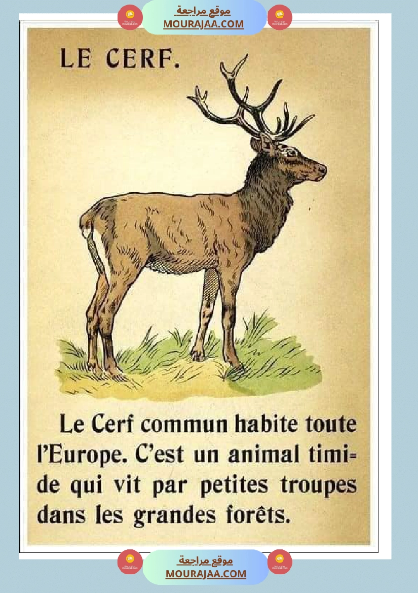 decrire les animaux 2 صفحة 5