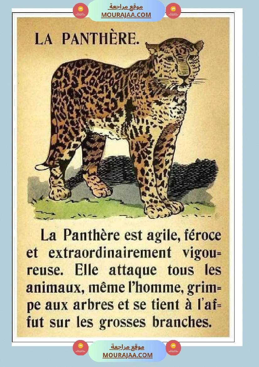 decrire les animaux 2 صفحة 6