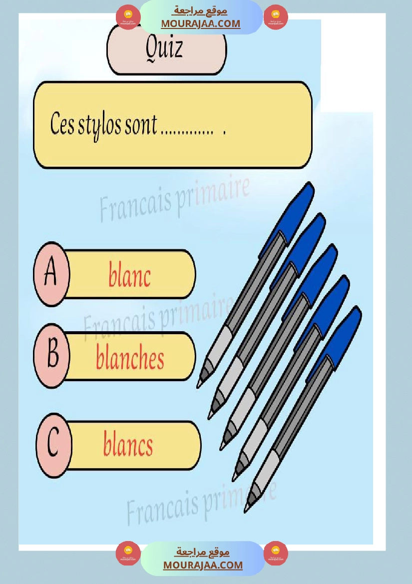 exercice grammaire genre et nombre classe ce صفحة 15