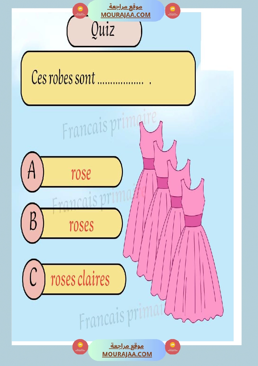 exercice grammaire genre et nombre classe ce صفحة 20