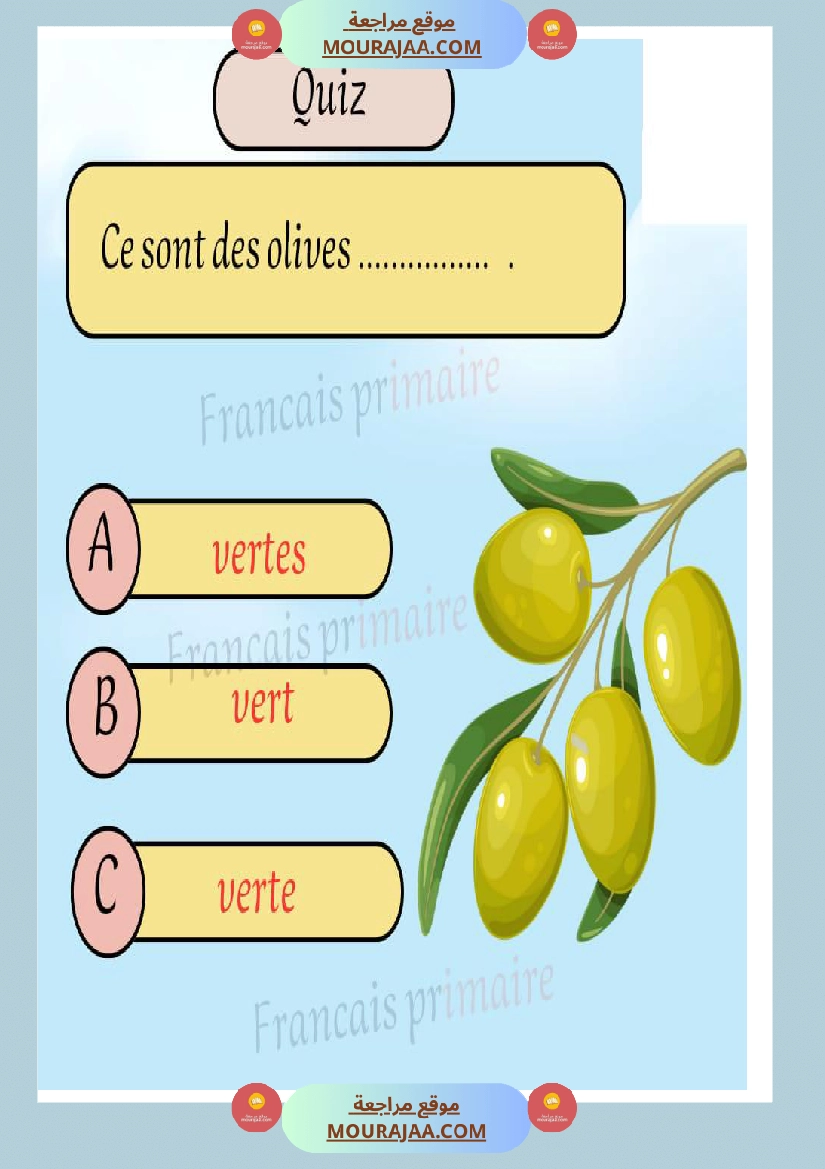 exercice grammaire genre et nombre classe ce صفحة 3