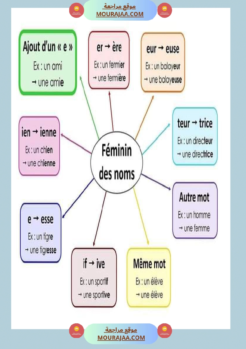 feminin des noms feminin des adjectifs