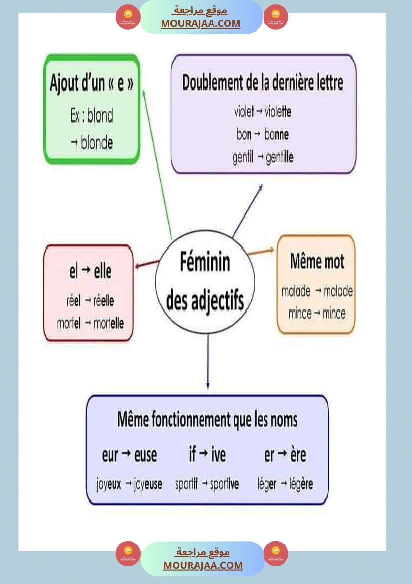feminin des noms feminin des adjectifs صفحة 2
