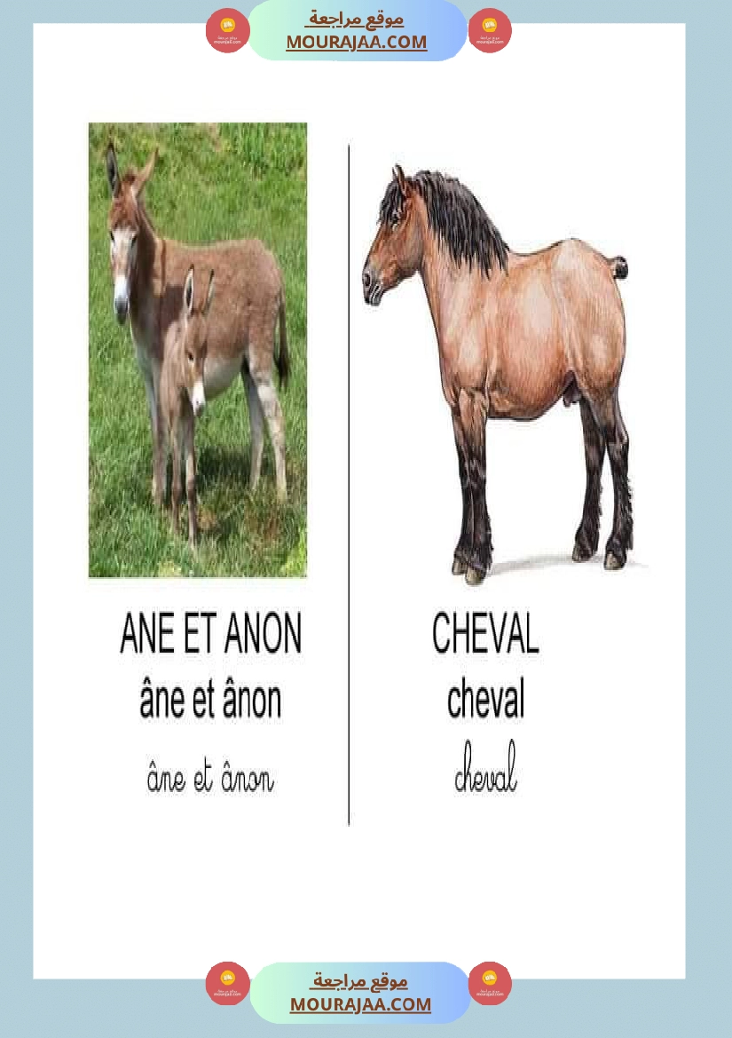 les animaux dans la ferme صفحة 7