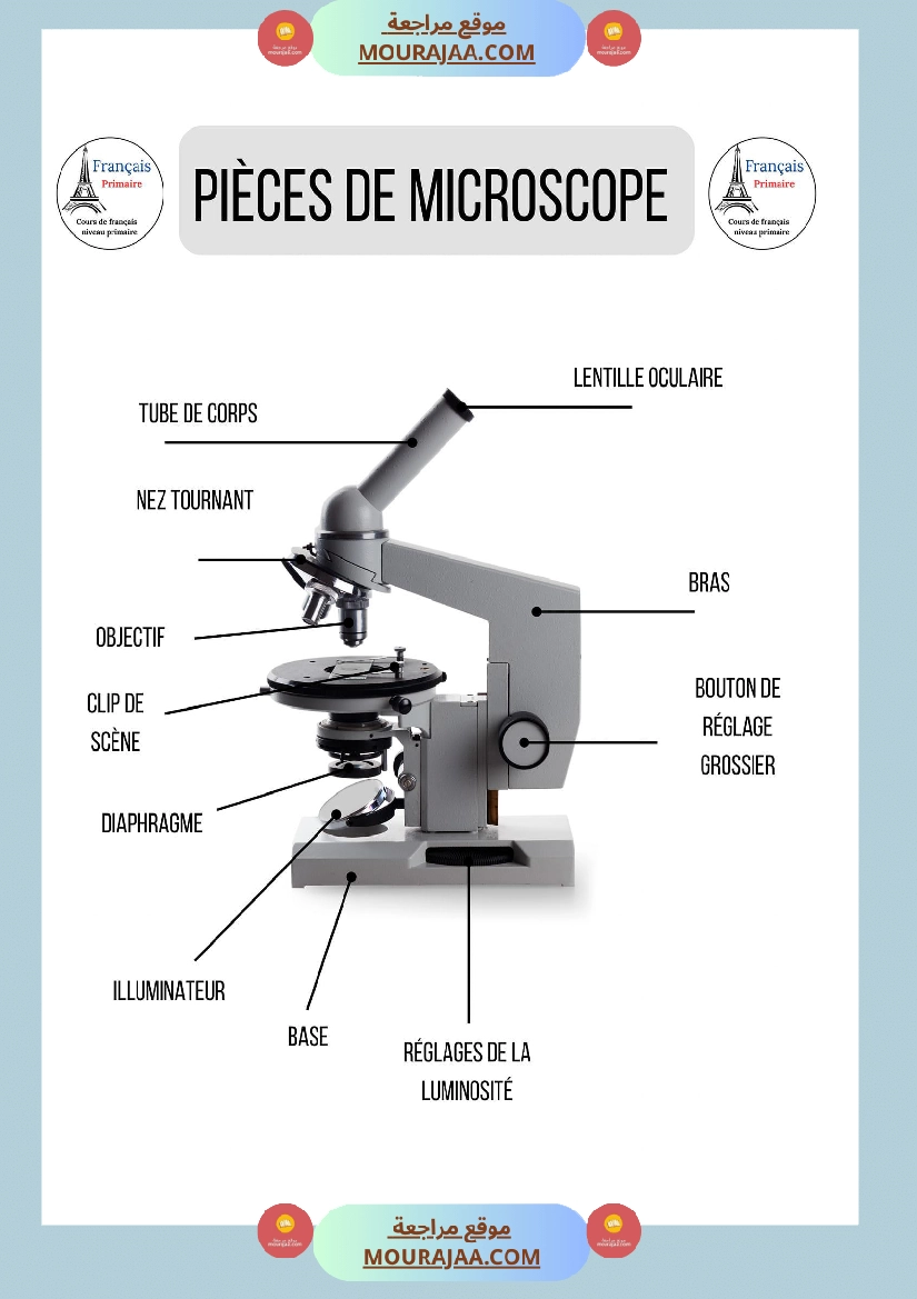 pieces de microscope