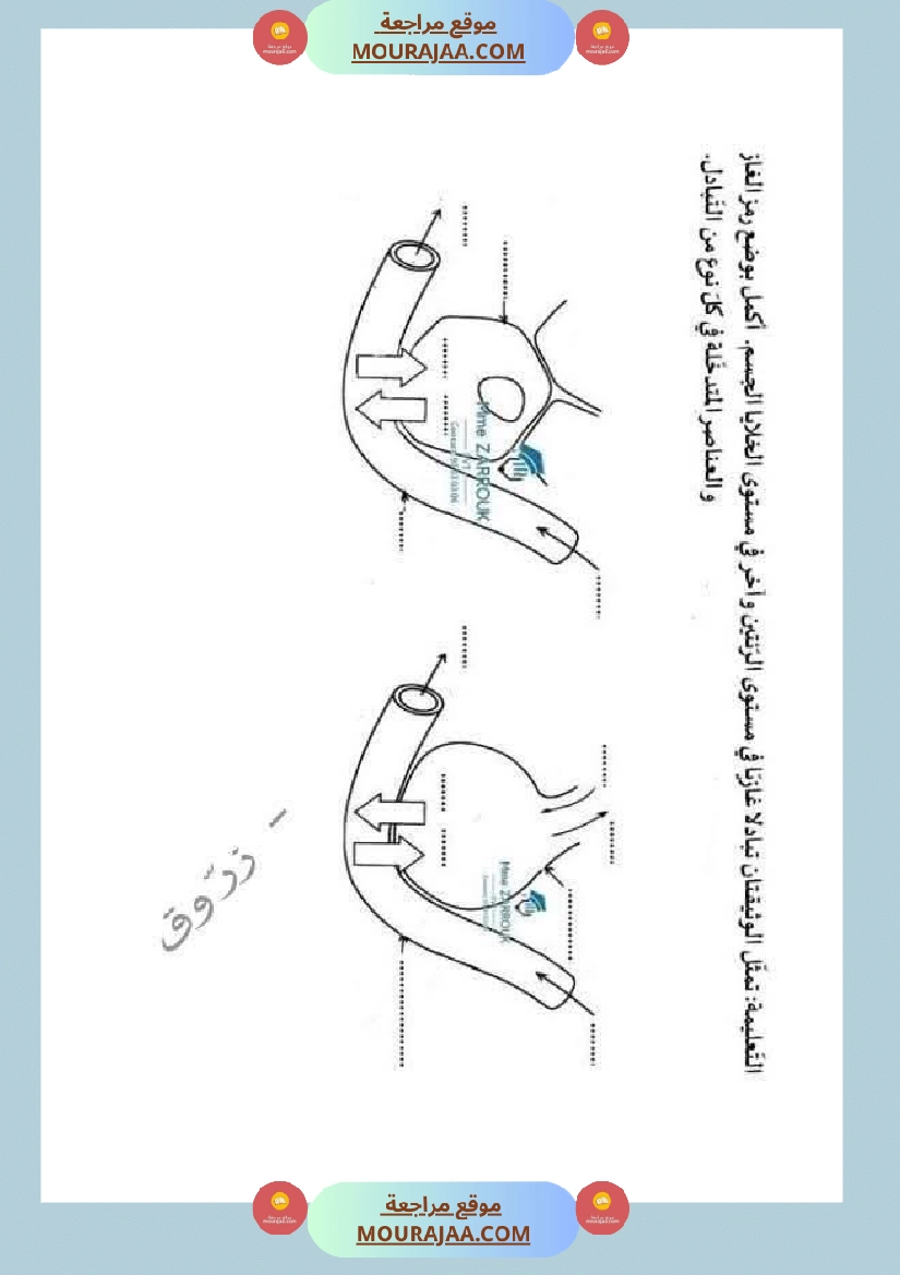 سادسة إبتدائي ايقاظ علمي الثلاثي الاول وحدة الهواء و التنفس صفحة 5