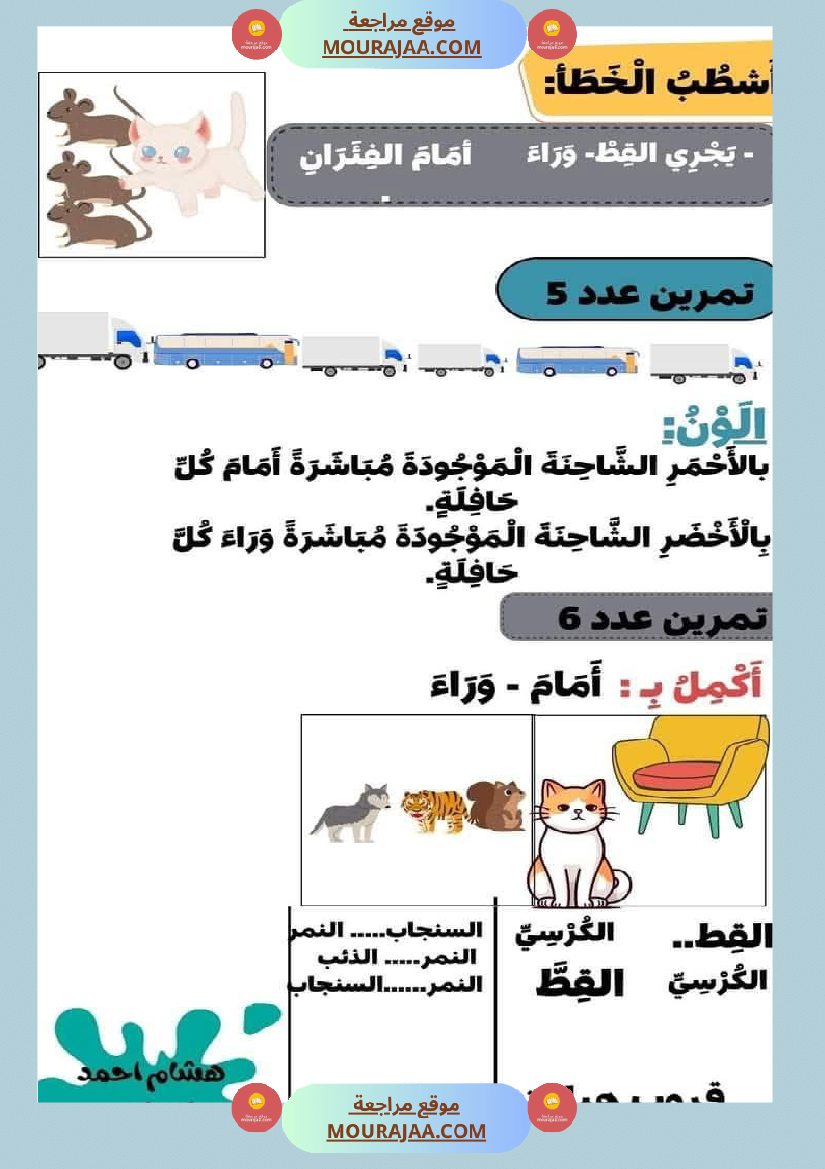 السنة الاولى رياضيات وايقاظ رياضيات تنظيم الفضاء أنواع الخطوط المجموعات ايقاظ الحواس علم