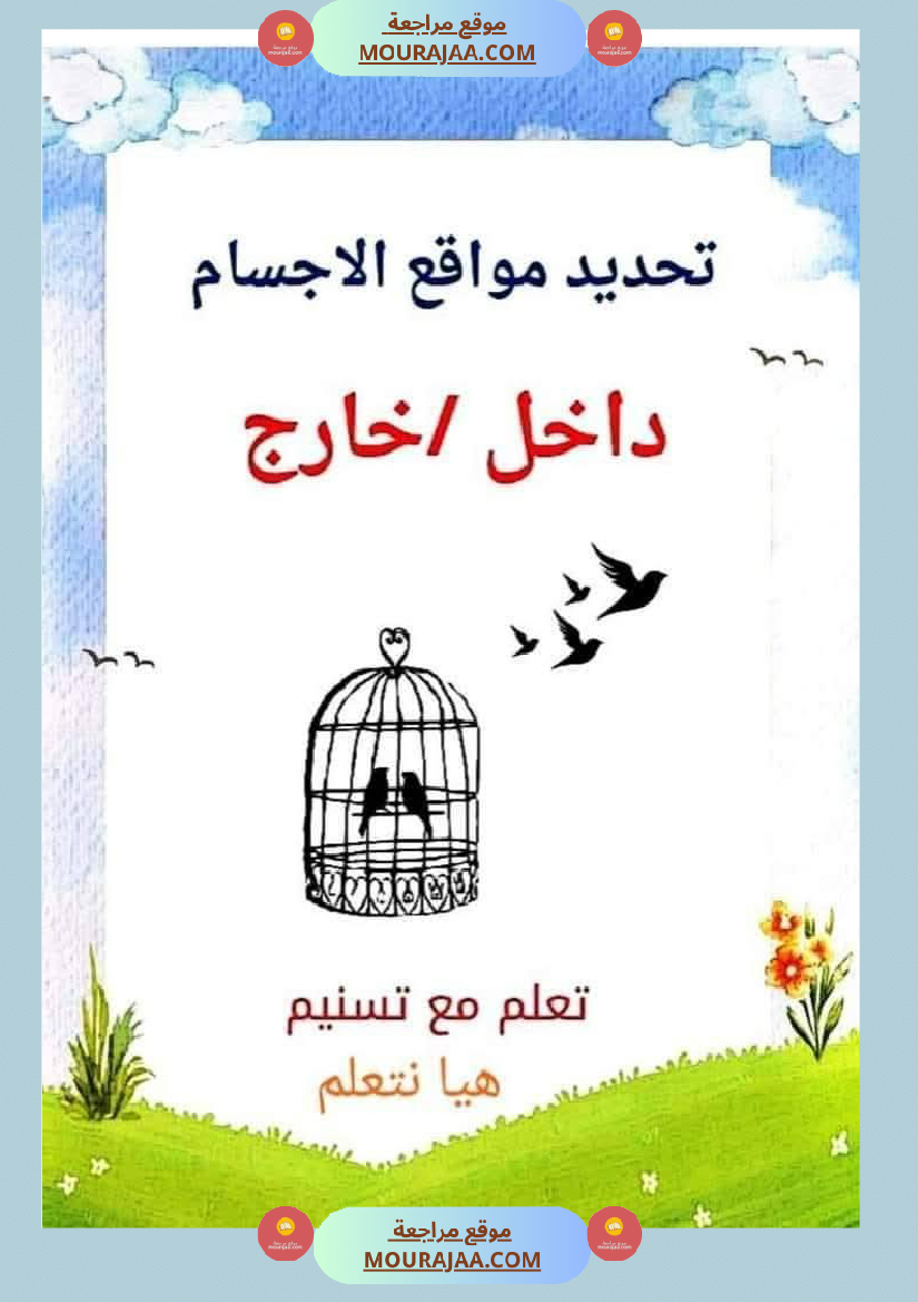 السنة الاولى رياضيات وايقاظ رياضيات تنظيم الفضاء أنواع الخطوط المجموعات ايقاظ الحواس علم