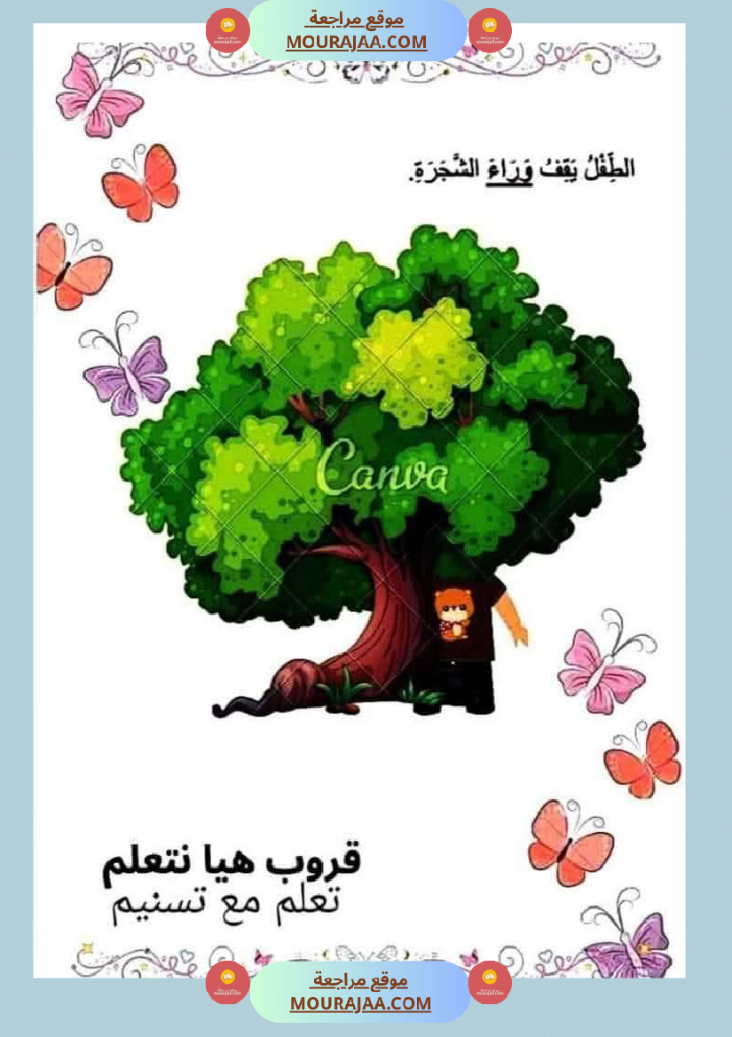 السنة الاولى رياضيات وايقاظ رياضيات تنظيم الفضاء أنواع الخطوط المجموعات ايقاظ الحواس علم