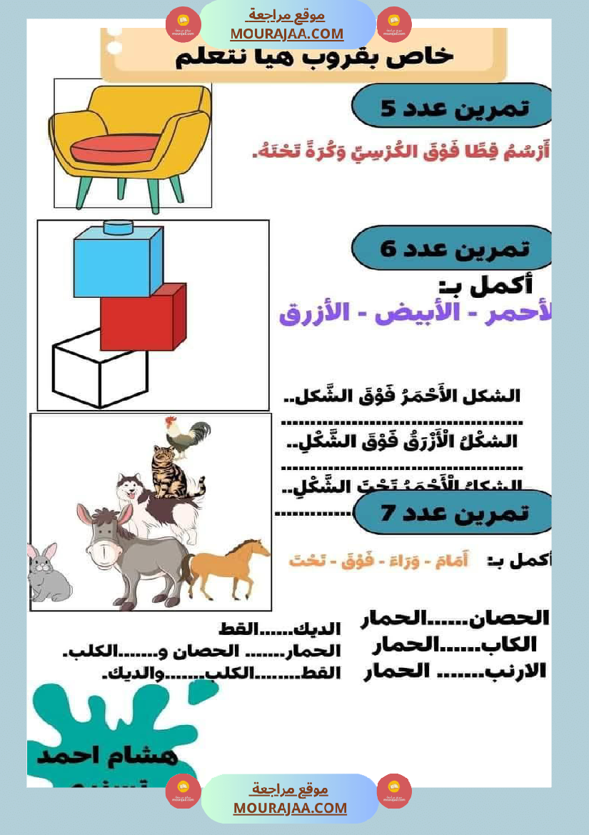 السنة الاولى رياضيات وايقاظ رياضيات تنظيم الفضاء أنواع الخطوط المجموعات ايقاظ الحواس علم