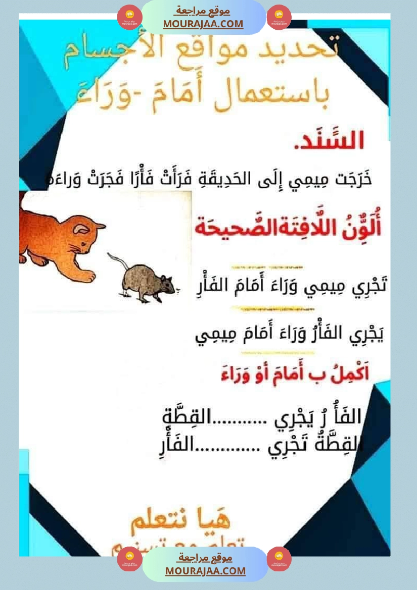 السنة الاولى رياضيات وايقاظ رياضيات تنظيم الفضاء أنواع الخطوط المجموعات ايقاظ الحواس علم صفحة 9