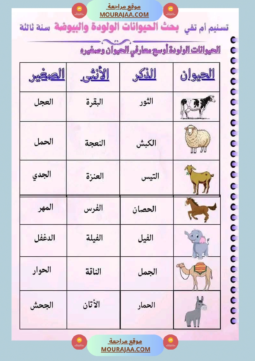 سنة ثالثة ابتدائي ايقاظ علمي الثلاثي الأول صفحة 7