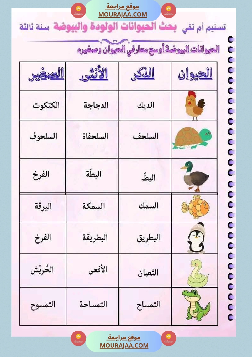 سنة ثالثة ابتدائي ايقاظ علمي الثلاثي الأول صفحة 8
