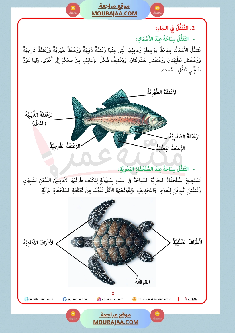 انماط التنقل عند الحيوان سنة الرابعة صفحة 2