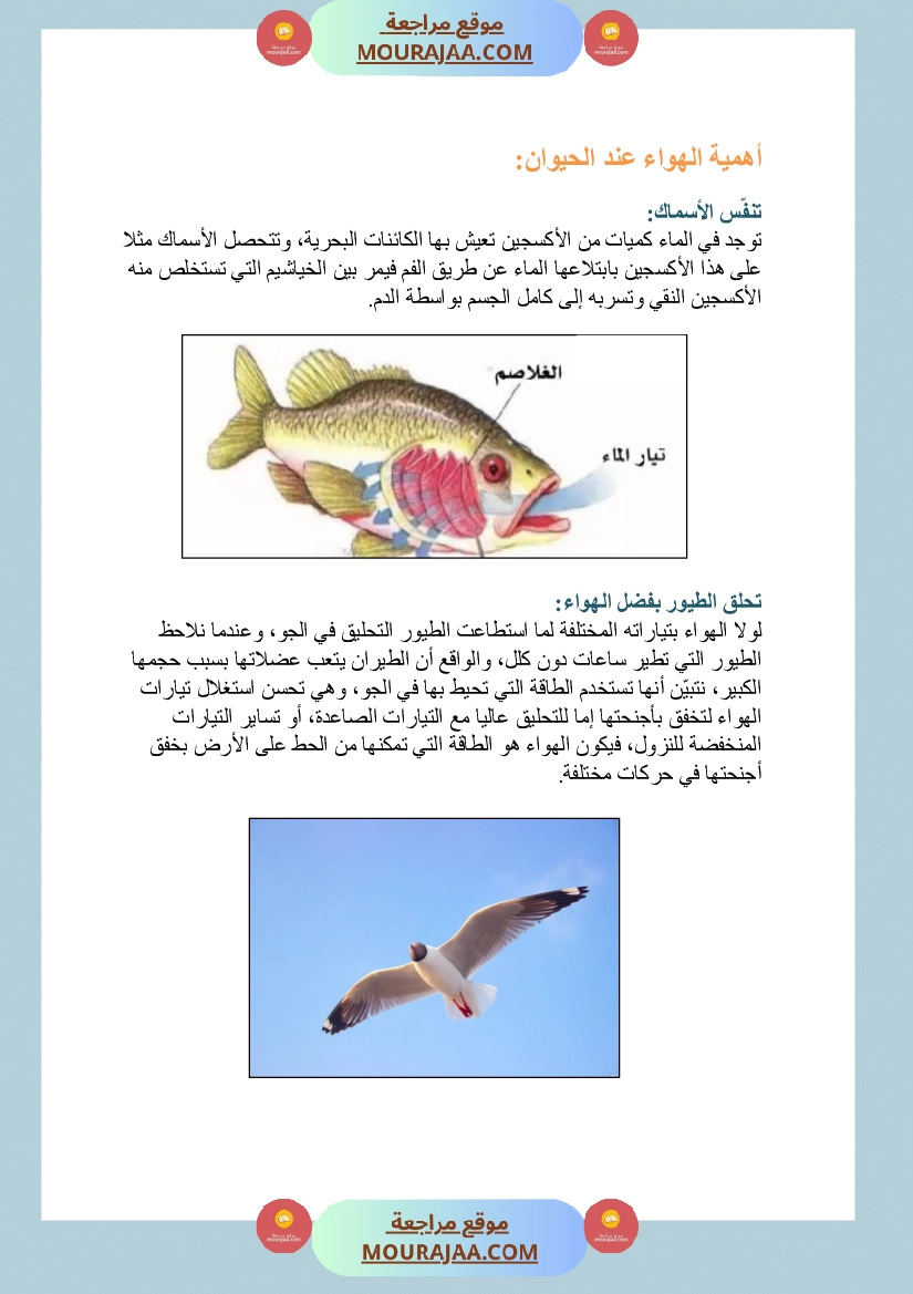 الهواء ضروري للكائنات الحية سنة السادسة صفحة 2