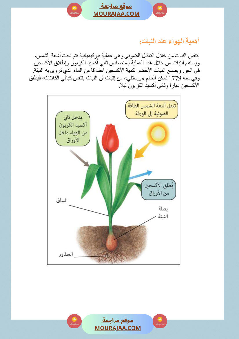 الهواء ضروري للكائنات الحية سنة السادسة