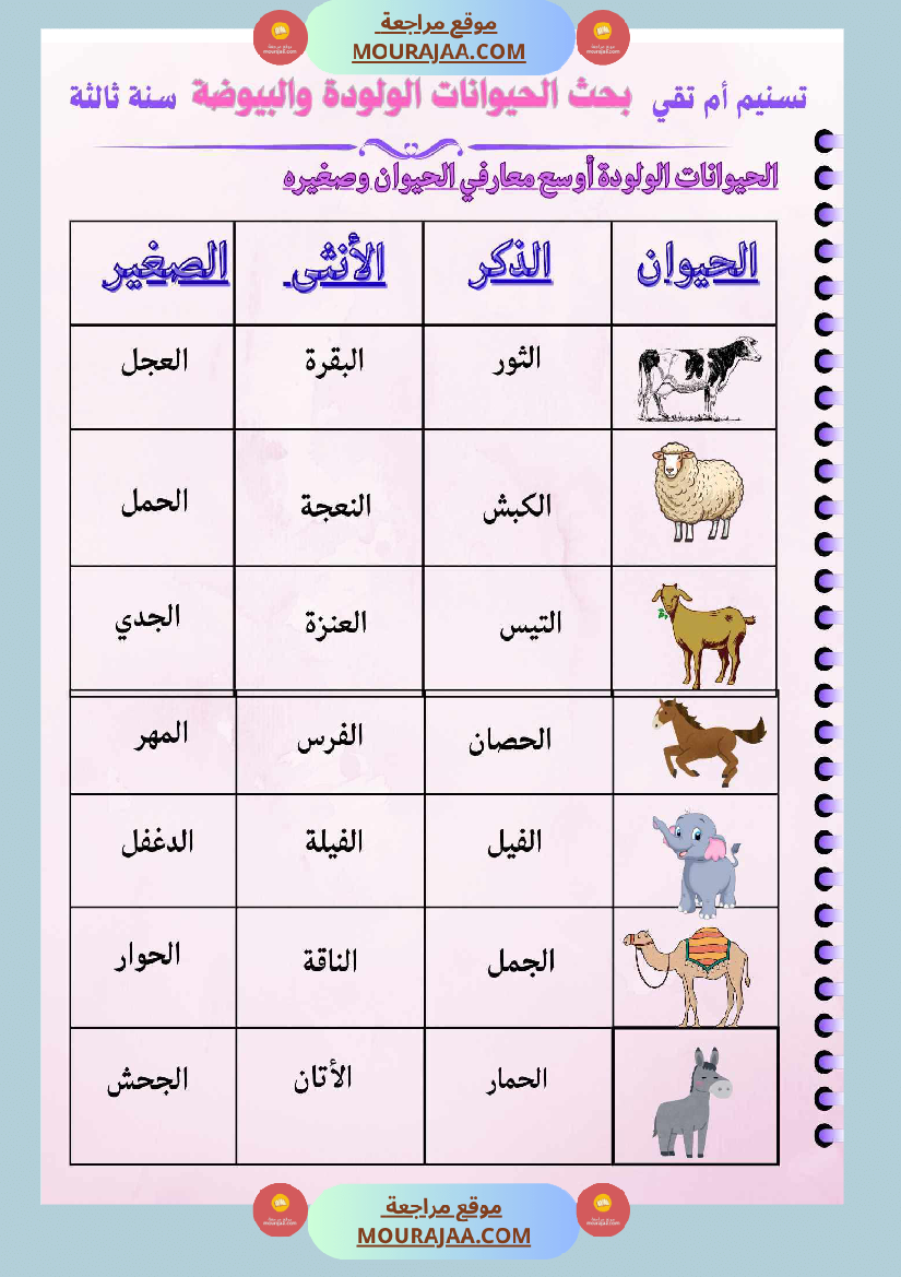 السنة الثالثة بحوث في الايقاظ العلمي الثلاثي الاول مرفقة بتطبيقات