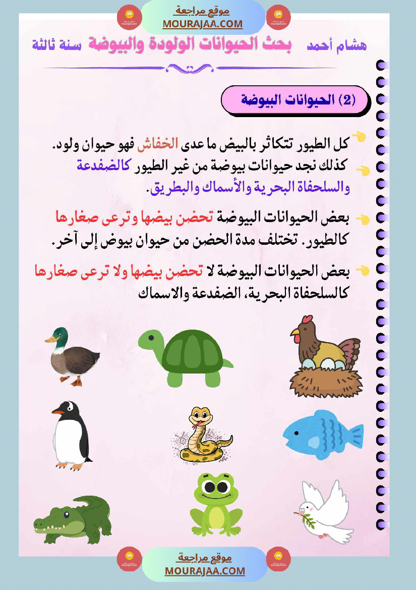 السنة الثالثة بحوث في الايقاظ العلمي الثلاثي الاول مرفقة بتطبيقات