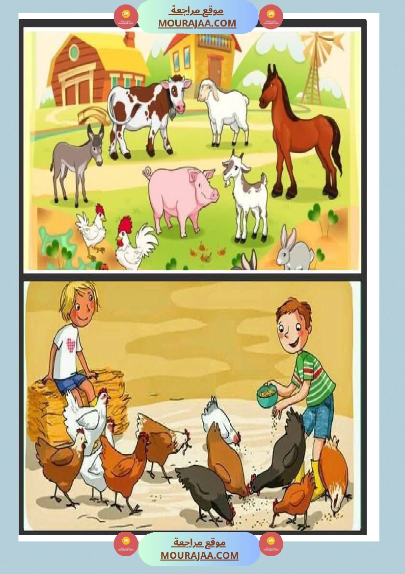 5eme unite mes amis les animaux des supports visuels صفحة 12