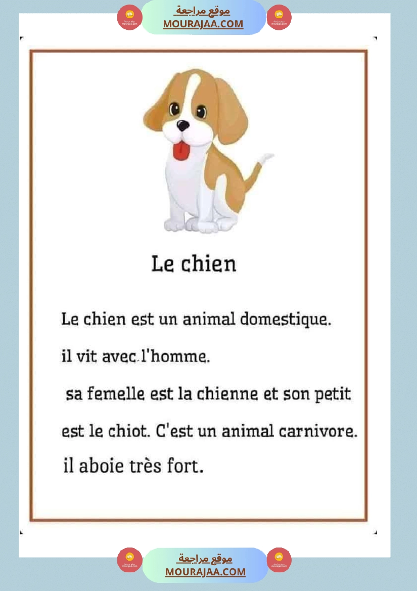 module 5 production ecrite la description dun animal 5eme صفحة 9