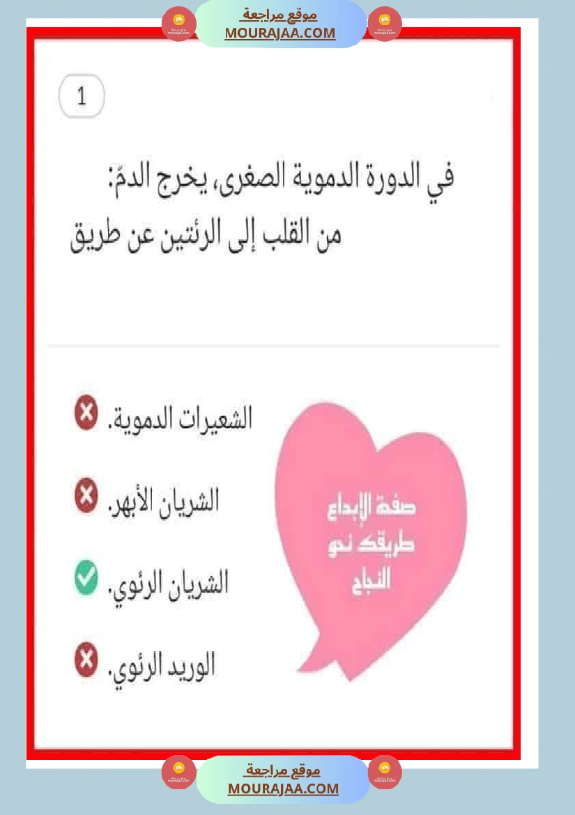 الدورة الدموية الصغرى والدورة الدموية الكبرى والدارة الكهربائية للسنة الخامسة