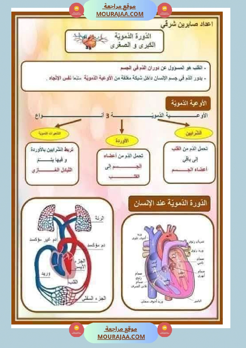 الدورة الدموية الصغرى والدورة الدموية الكبرى والدارة الكهربائية للسنة الخامسة صفحة 14
