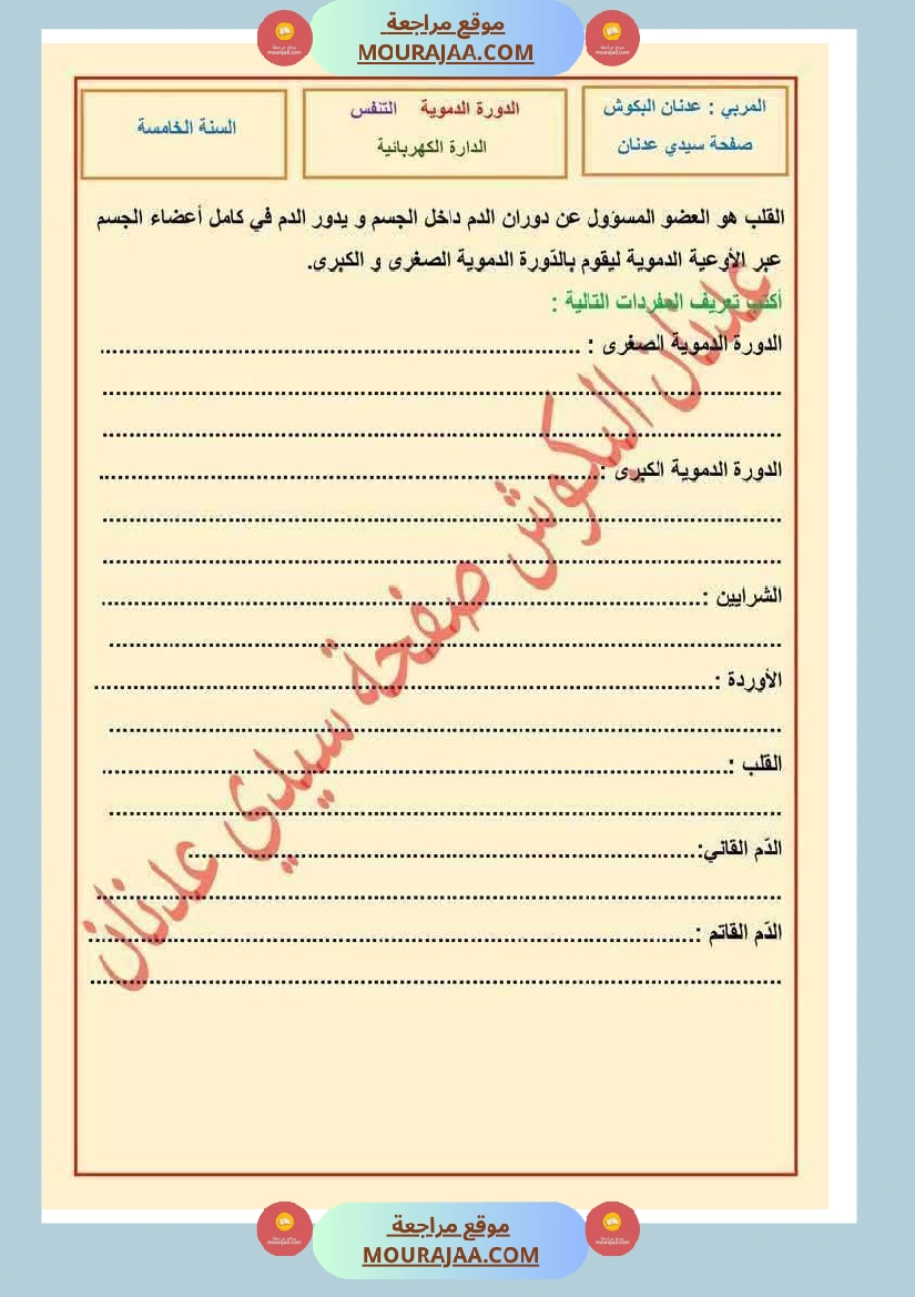 الدورة الدموية الصغرى والدورة الدموية الكبرى والدارة الكهربائية للسنة الخامسة صفحة 16