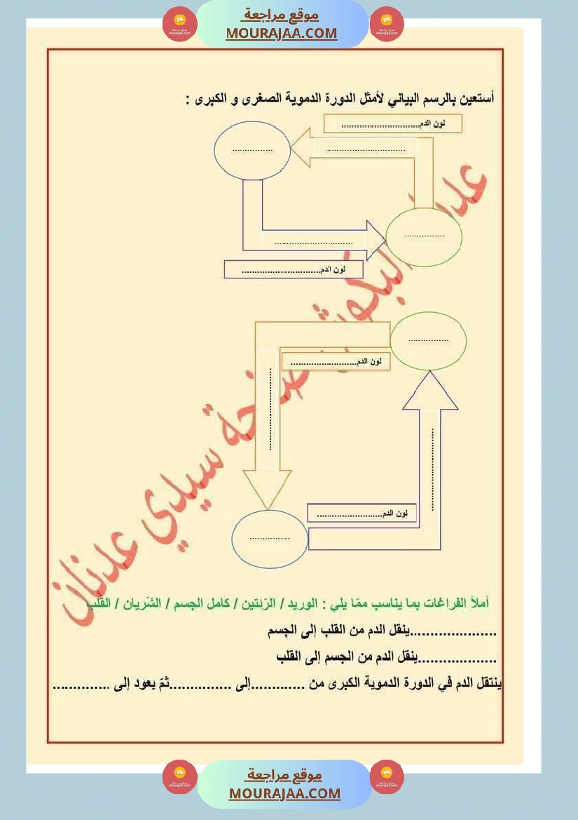 الدورة الدموية الصغرى والدورة الدموية الكبرى والدارة الكهربائية للسنة الخامسة صفحة 18