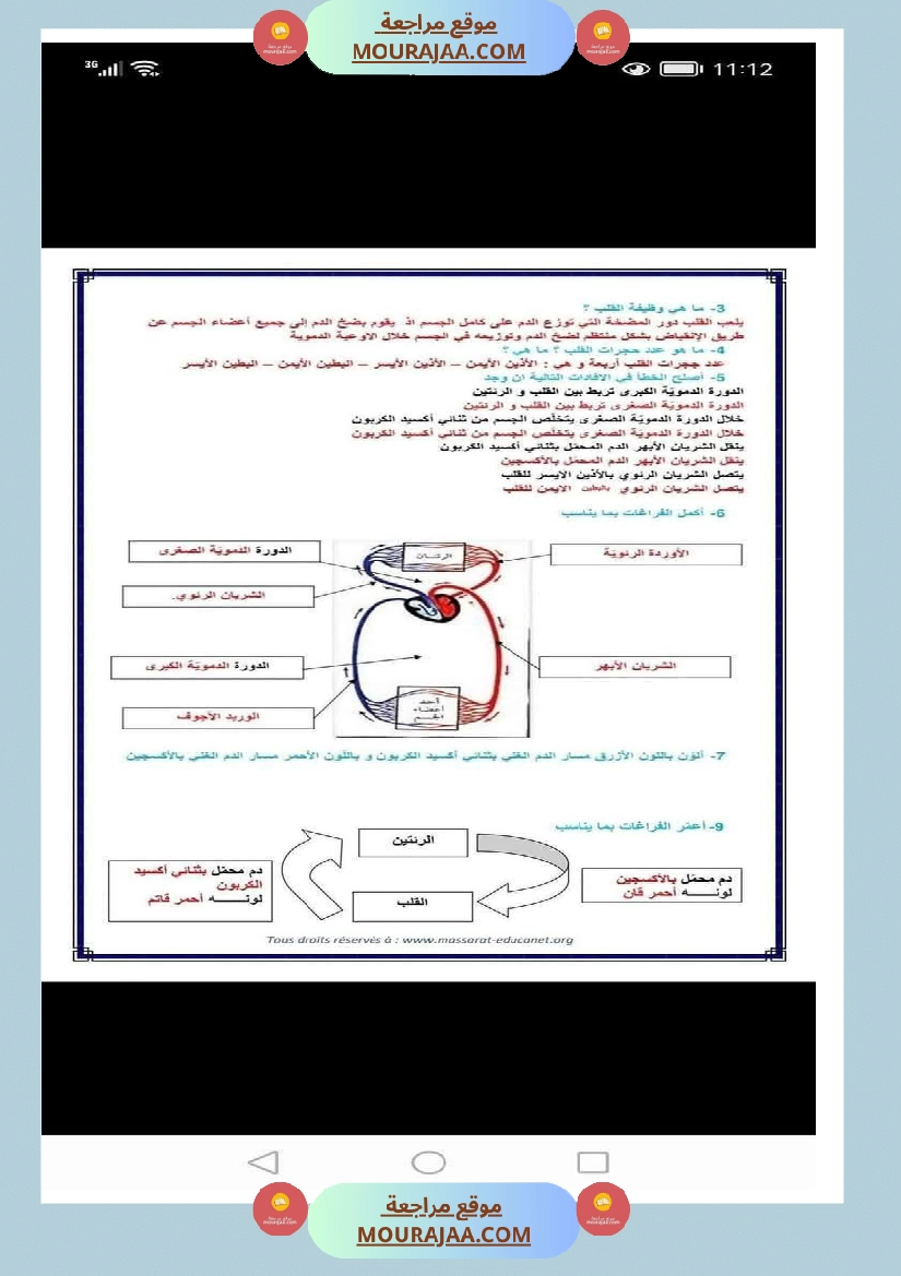 الدورة الدموية الصغرى والدورة الدموية الكبرى والدارة الكهربائية للسنة الخامسة صفحة 8