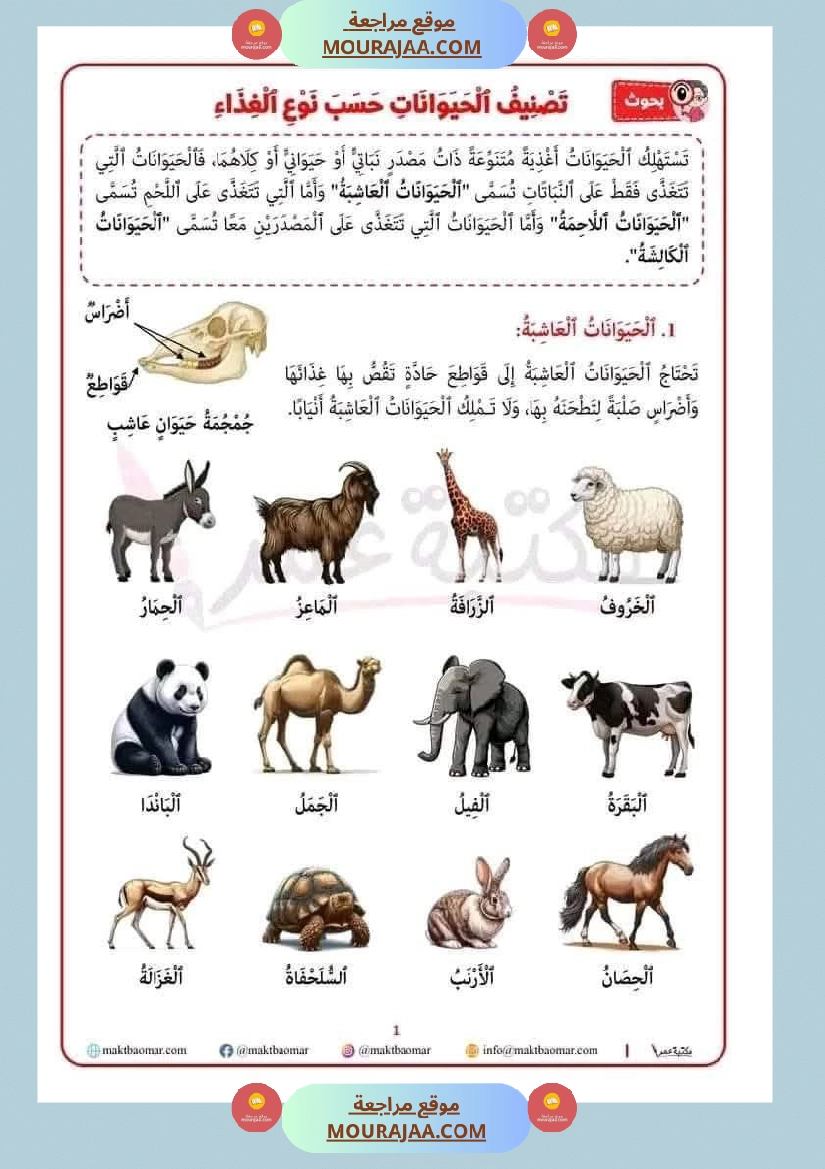 تصنيف الحيوانات حسب غذائها سنة الثانية
