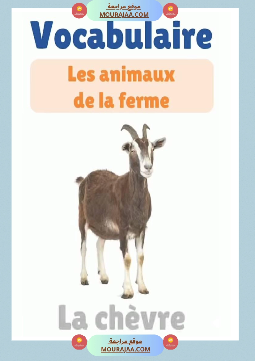 des animaux j apprends le francais 4eme