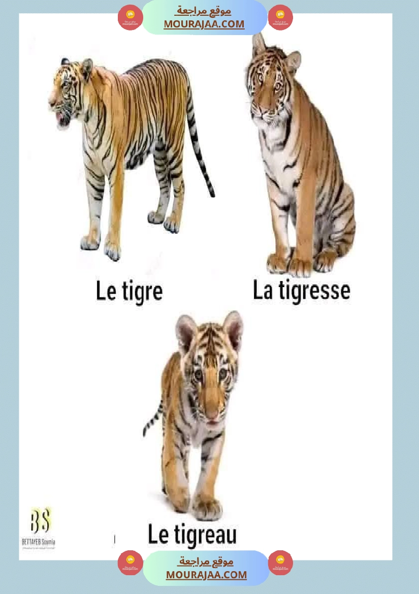 quelques familles d animaux 4eme