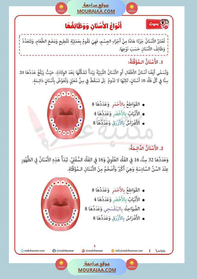 بحث حول الأسنان لأبطال السنة الرابعة