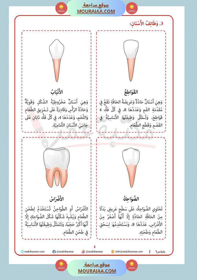 بحث حول الأسنان لأبطال السنة الرابعة