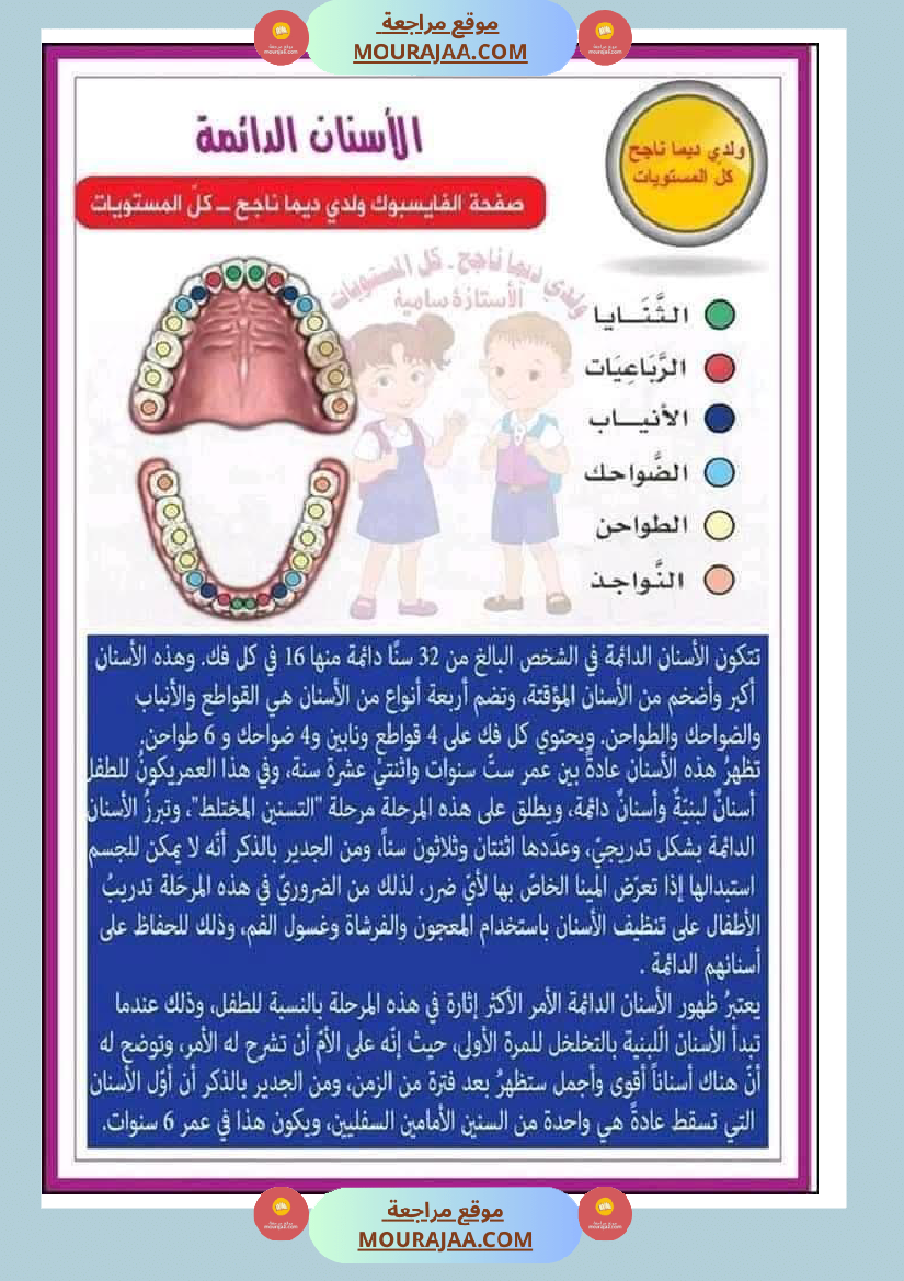 بحث حول الأسنان لأبطال السنة الرابعة