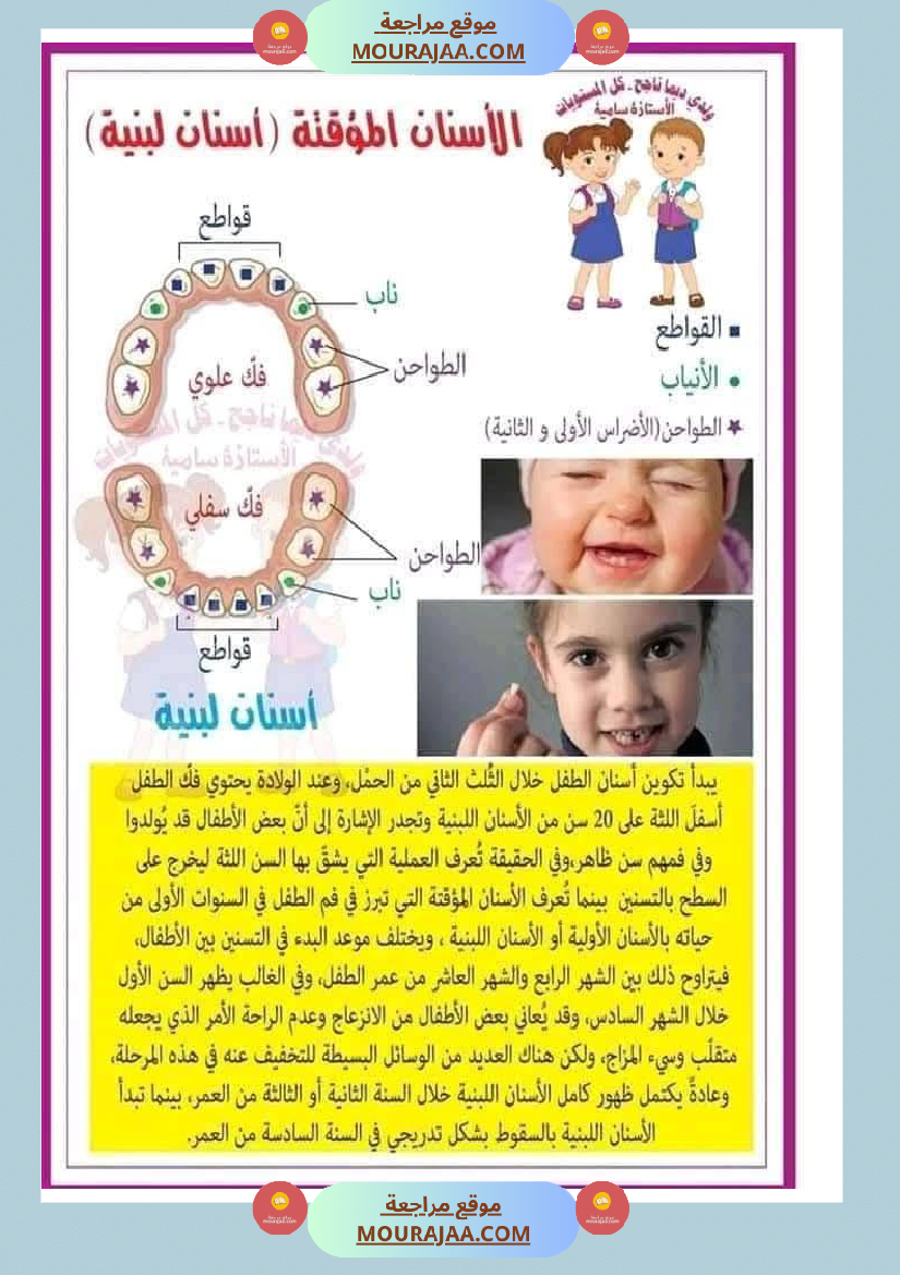 بحث حول الأسنان لأبطال السنة الرابعة