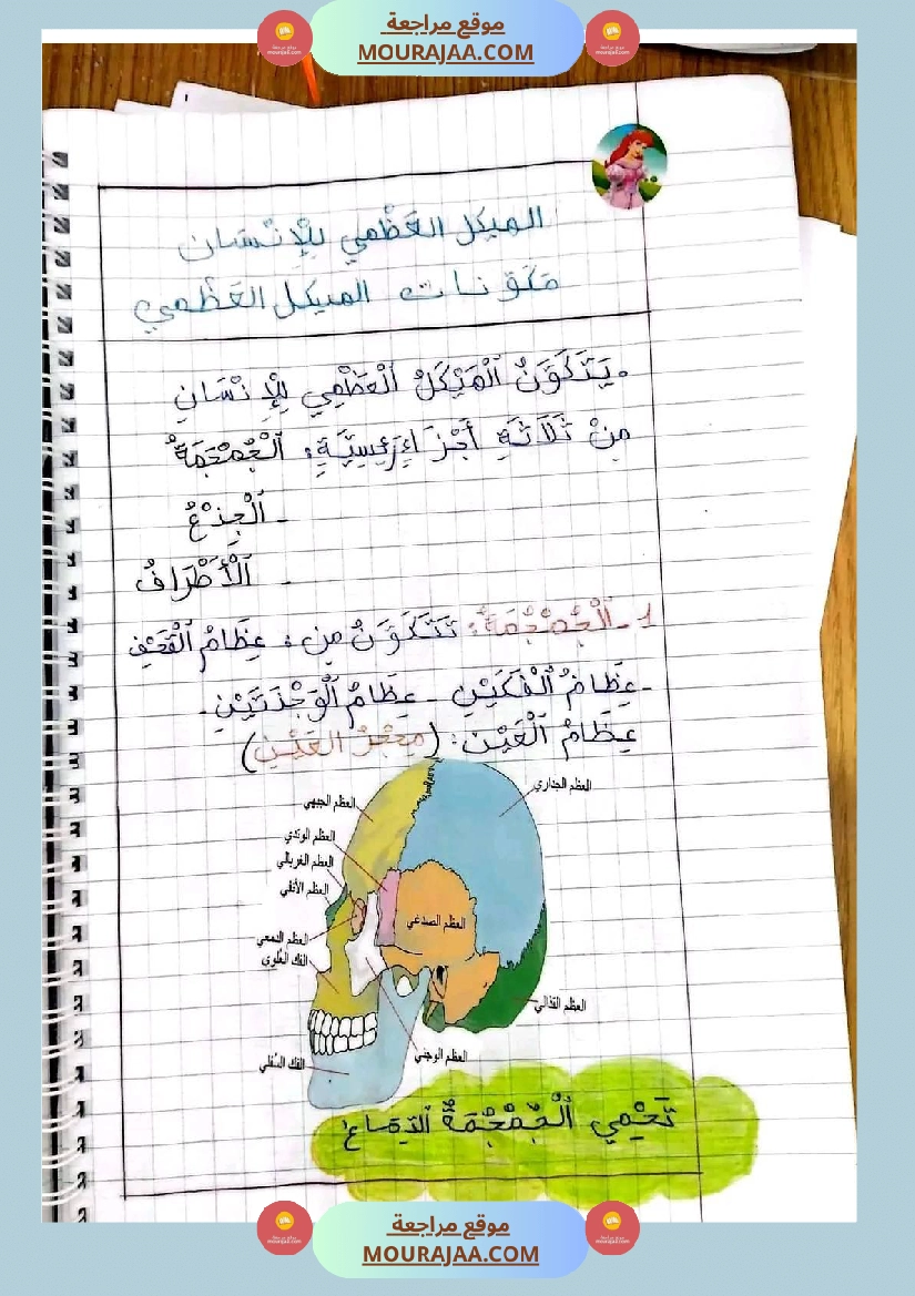 سنة خامسة ايقاظ علمي ثلاثي 1 تلاخيص صفحة 12