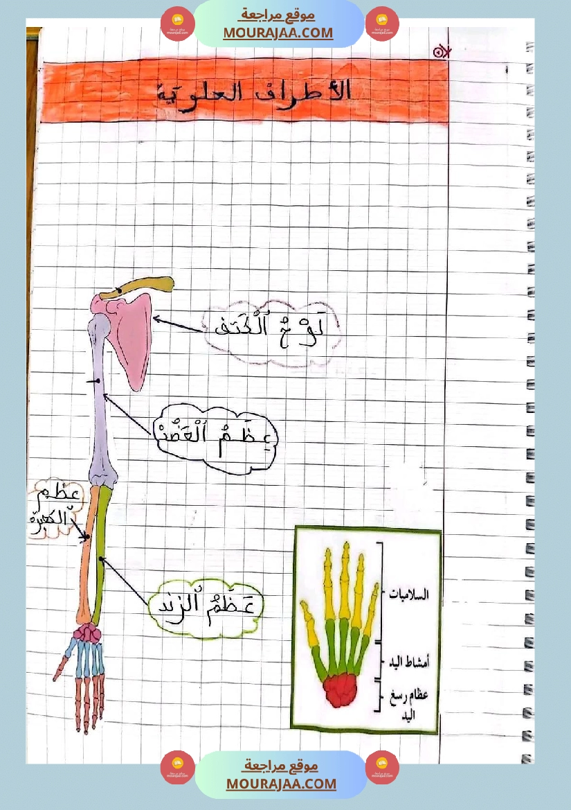 سنة خامسة ايقاظ علمي ثلاثي 1 تلاخيص صفحة 14