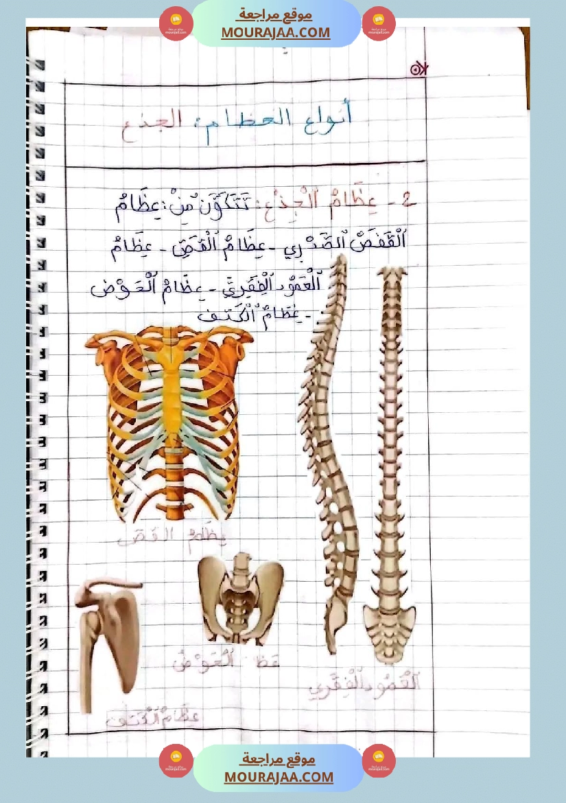 سنة خامسة ايقاظ علمي ثلاثي 1 تلاخيص صفحة 19