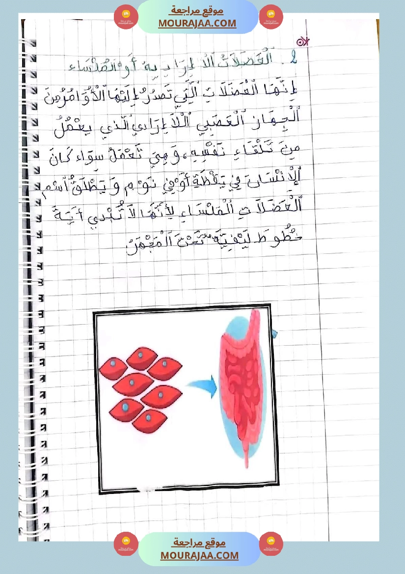 سنة خامسة ايقاظ علمي ثلاثي 1 تلاخيص صفحة 3