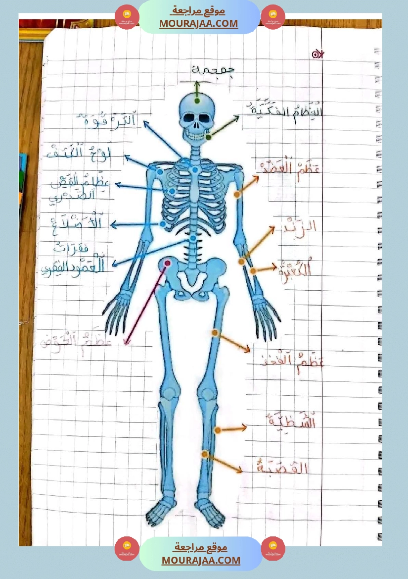 سنة خامسة ايقاظ علمي ثلاثي 1 تلاخيص صفحة 22