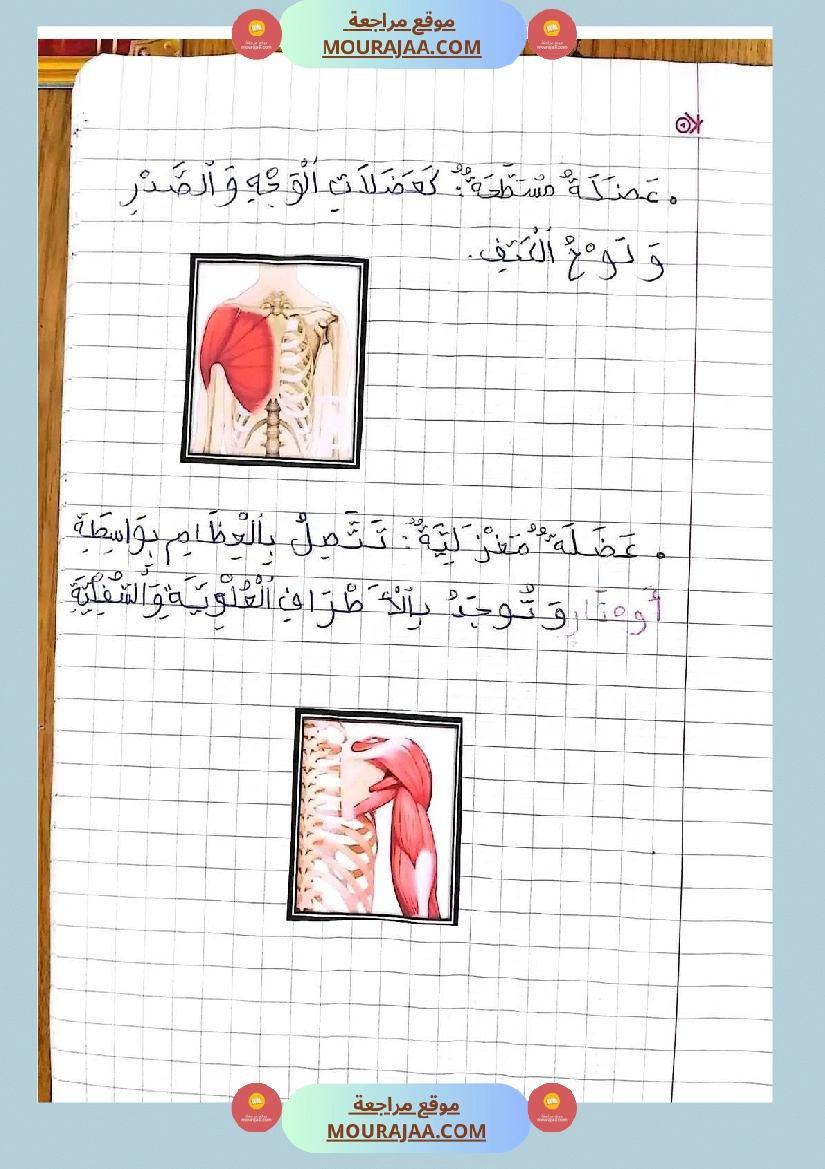 سنة خامسة ايقاظ علمي ثلاثي 1 تلاخيص صفحة 23