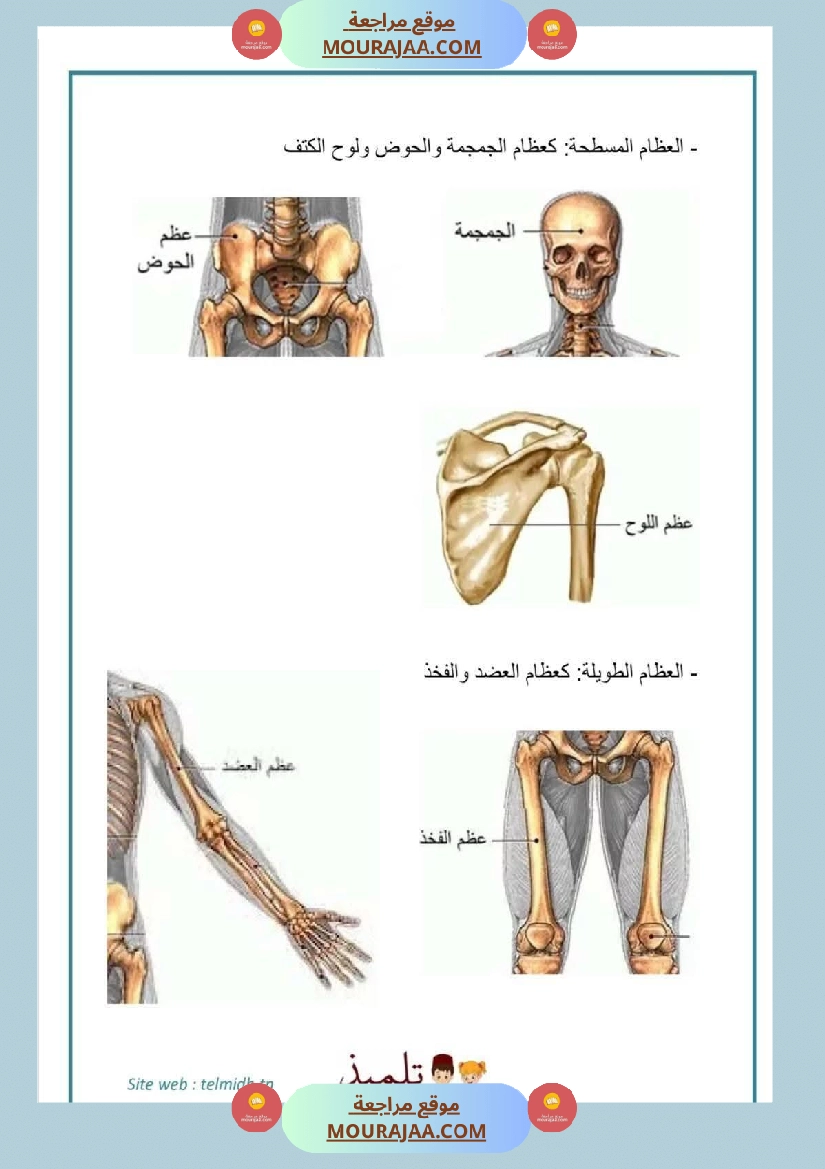 سنة خامسة تلاخيص في مادة الإيقاظ العلمي ثلاثي 1 صفحة 4