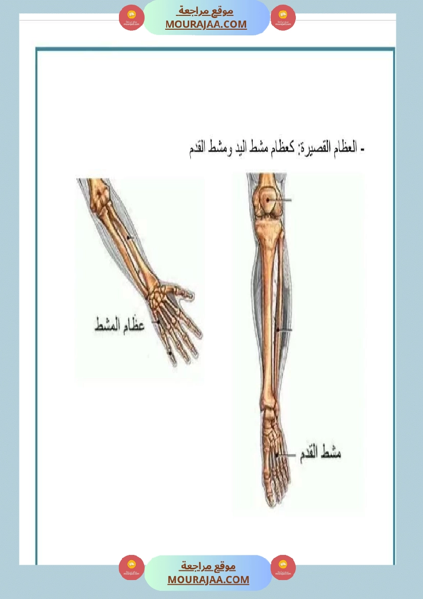 سنة خامسة تلاخيص في مادة الإيقاظ العلمي ثلاثي 1 صفحة 5
