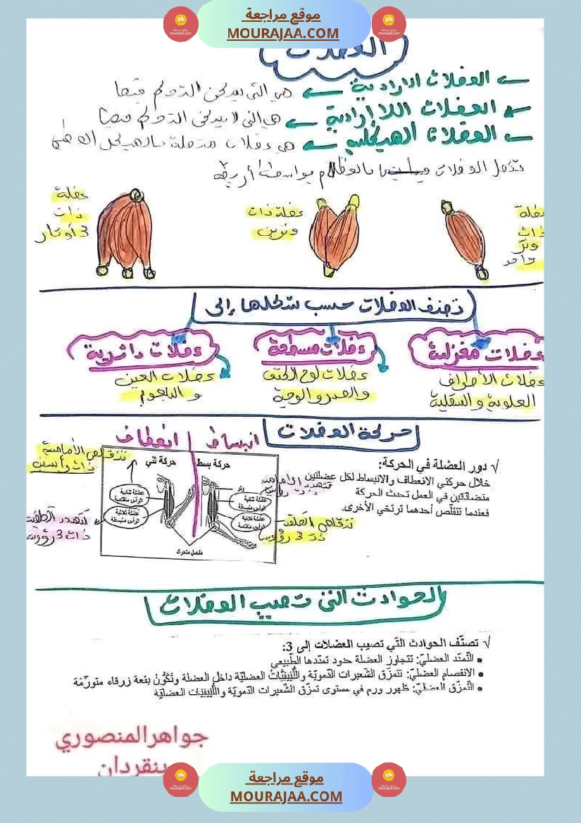 سنة خامسة تلاخيص في مادة الإيقاظ العلمي ثلاثي 1 صفحة 8