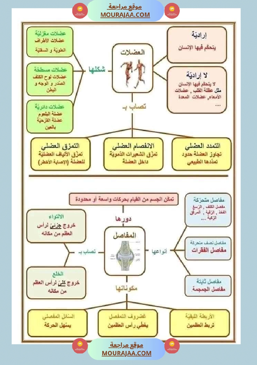 سنة خامسة تلاخيص في مادة الإيقاظ العلمي ثلاثي 1 صفحة 10